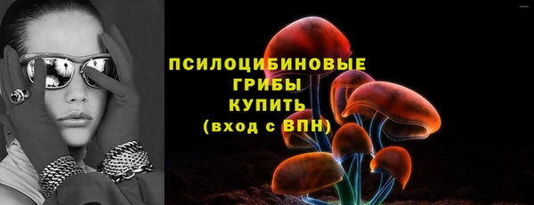 PSILOCYBIN Михайлов