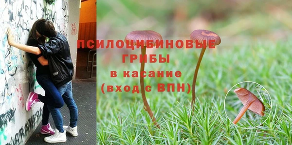 герыч Абинск