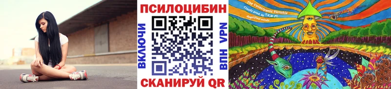 гидра   Батайск  Псилоцибиновые грибы прущие грибы 