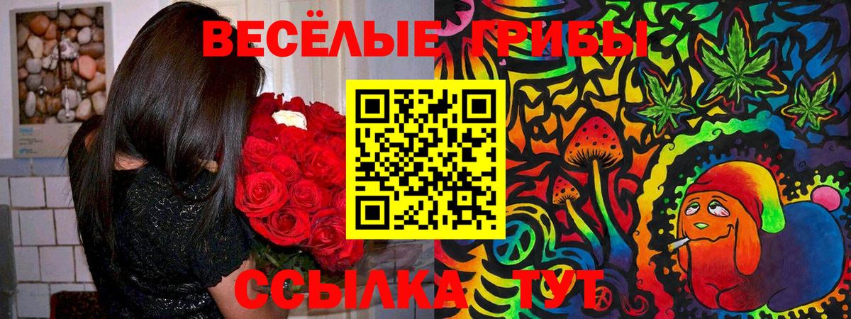 Псилоцибиновые грибы GOLDEN TEACHER  Псилоцибиновые грибы GOLDEN TEACHER  Батайск  Вход с VPN 